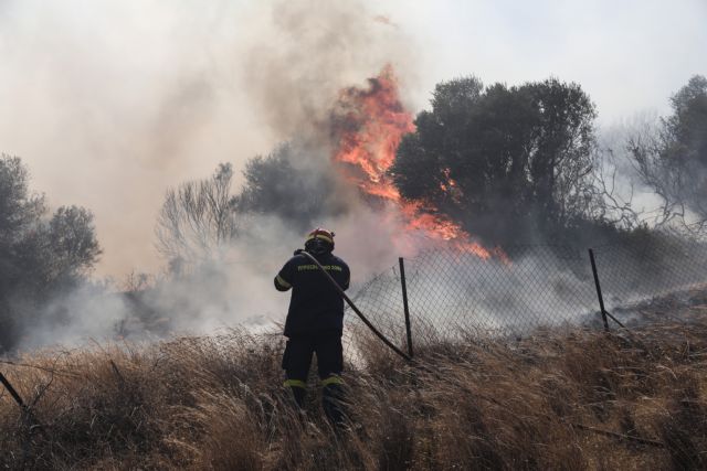 Φωτιά στο Πυργί Λέσβου – Μήνυμα 112 στους κατοίκους