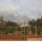 Πύρινος εφιάλτης στη Χίο: Εξετάζεται το ενδεχόμενο εμπρησμού – Στο νησί εκτάκτως ο Γ. Κεφαλογιάννης