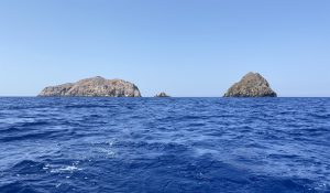 Σε δόσεις το θαλάσσιο πάρκο στο Αιγαίο
