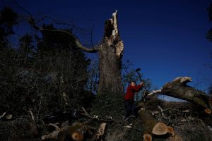 Σαν να λέμε… Τζουράσικ Πάρκ!