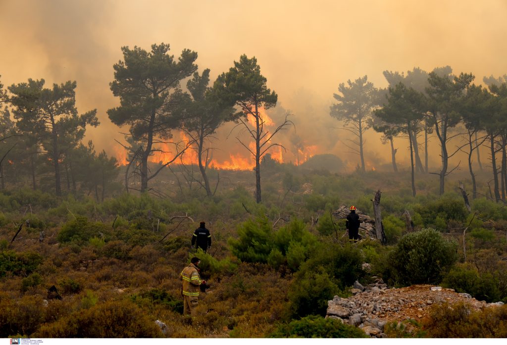 Πύρινη «κόλαση» στη Χίο: Στάχτη έγιναν 62.000 στρέμματα δασικής και χορτολιβαδικής έκτασης